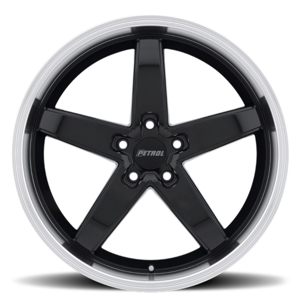 P1B GBM - Image 3