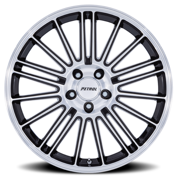 P1D GBM - Image 3